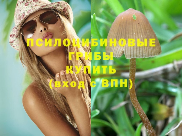 ECSTASY Аркадак