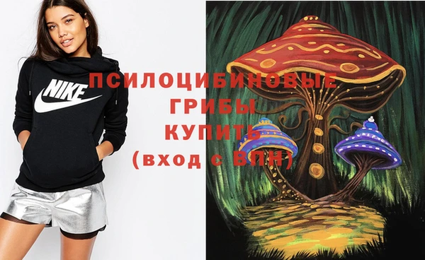 эйфоретик Армянск