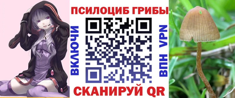 Купить закладки  Янаул  Галлюциногенные грибы Cubensis 